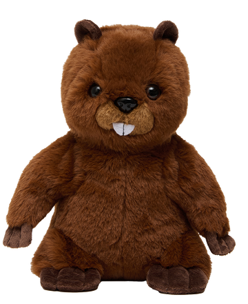 Noah's Ark Animal Workshop